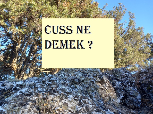Cuss ne demek