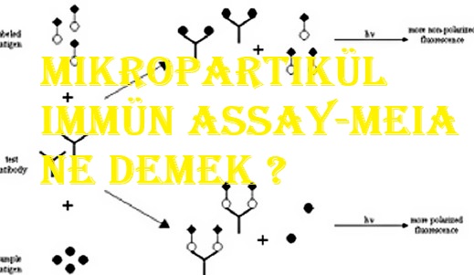 Mikropartikül immün assay-meia ne demek