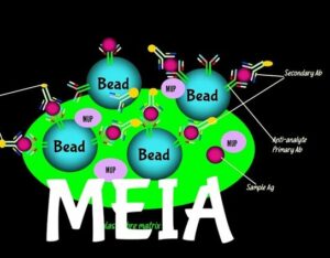 Mikropartikül immün assay-meia ne demek
