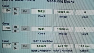 DSG kalibrasyon nedir