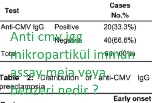 Anti cmv igg mikropartikül immün assay meia veya benzeri nedir ?